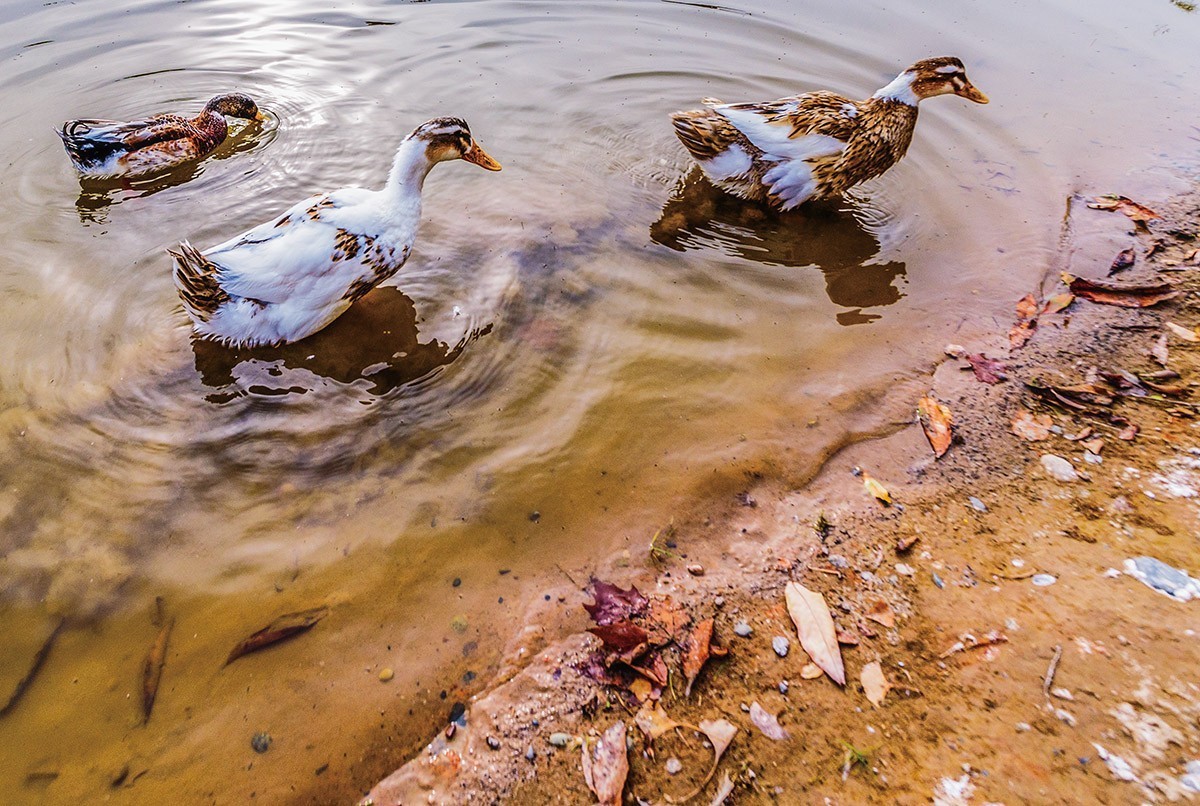 暖意【兰州雁滩公园】
