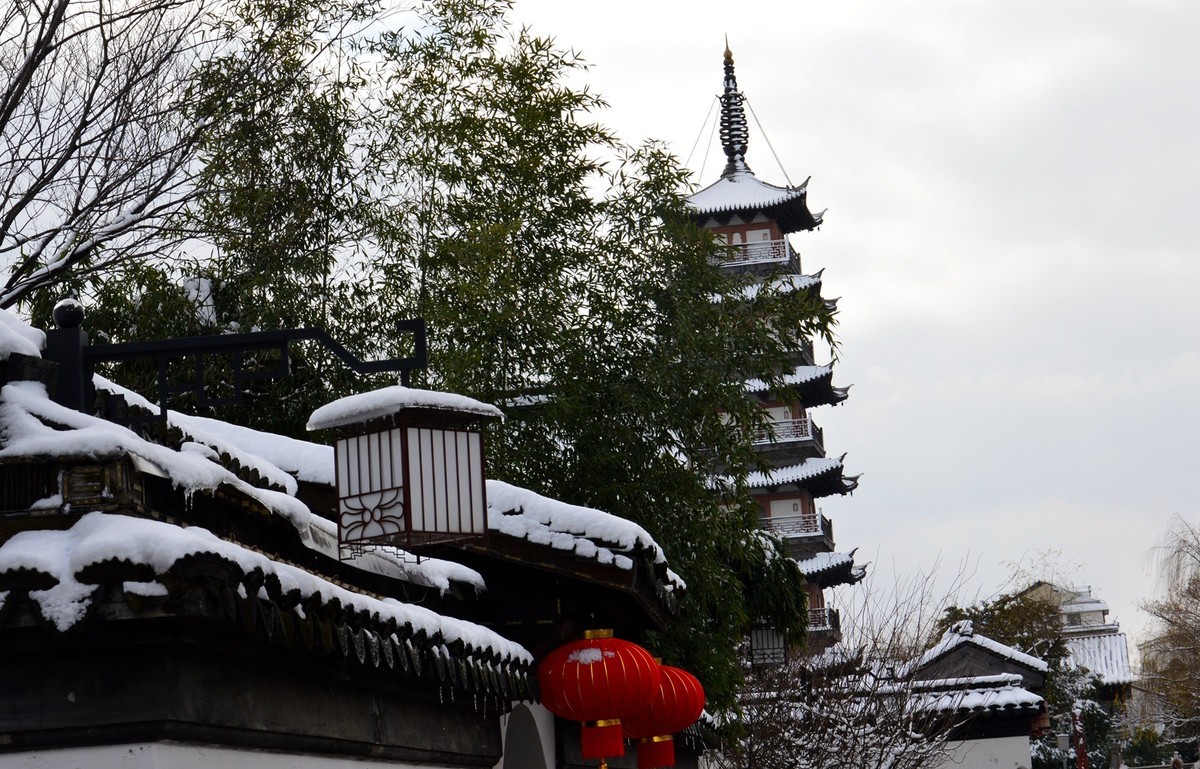 2018年1月26日-上海市嘉定区雪后风景