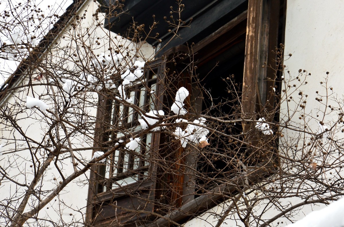 2018年1月26日-上海市嘉定区雪后风景