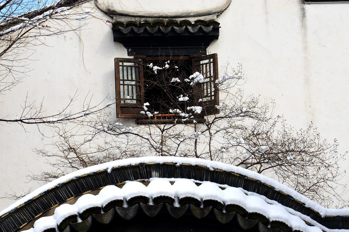 2018年1月26日-上海市嘉定区雪后风景