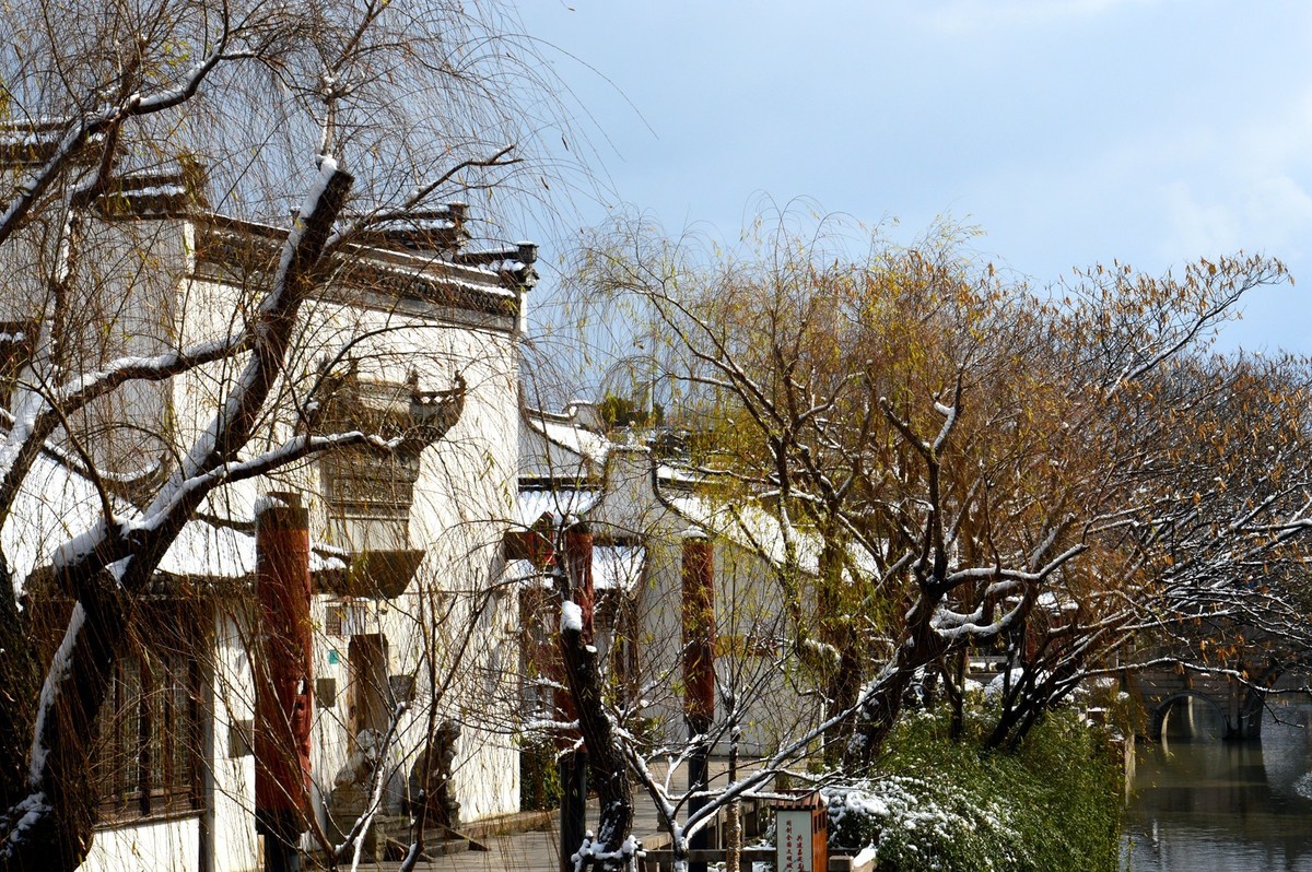 2018年1月26日-上海市嘉定区雪后风景