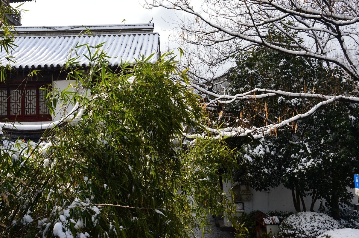 2018年1月26日-上海市嘉定区雪后风景
