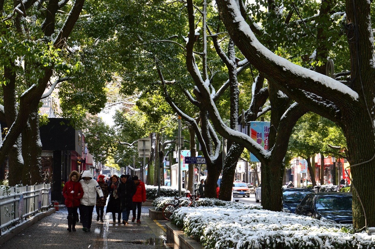 2018年1月26日-上海市嘉定区雪后风景