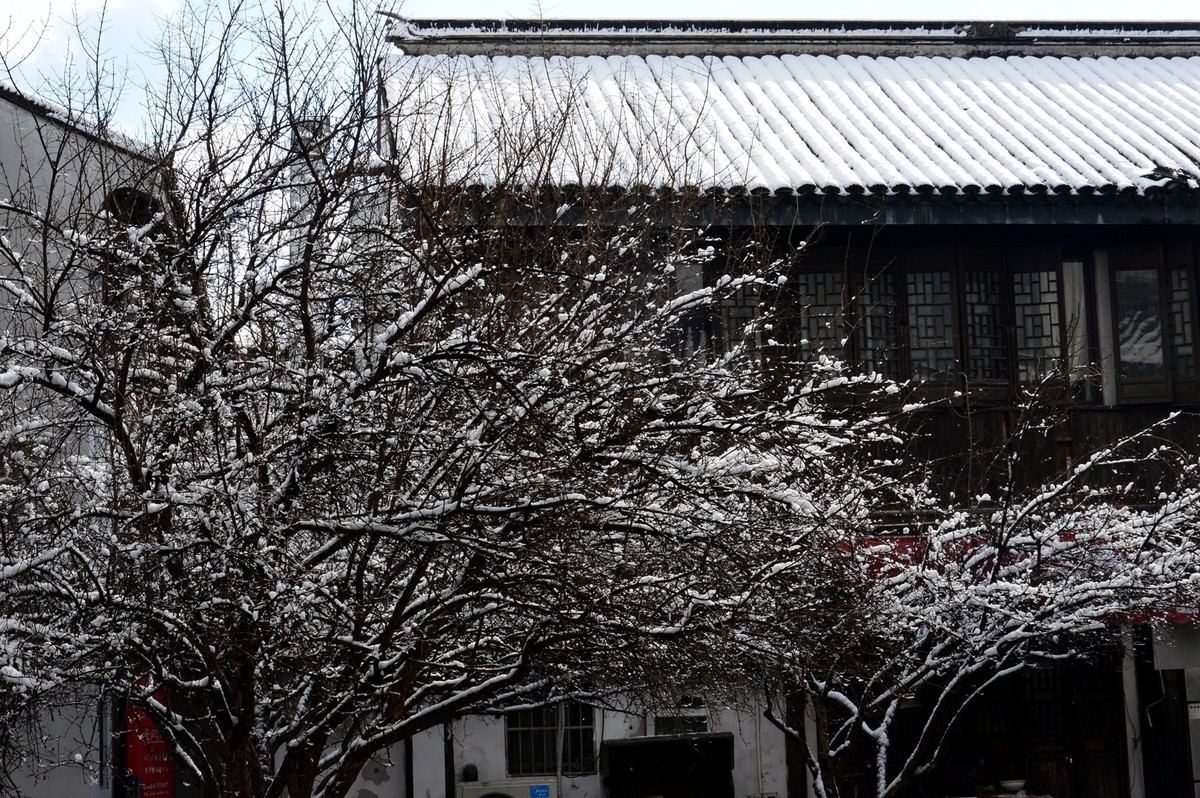 2018年1月26日-上海市嘉定区雪后风景