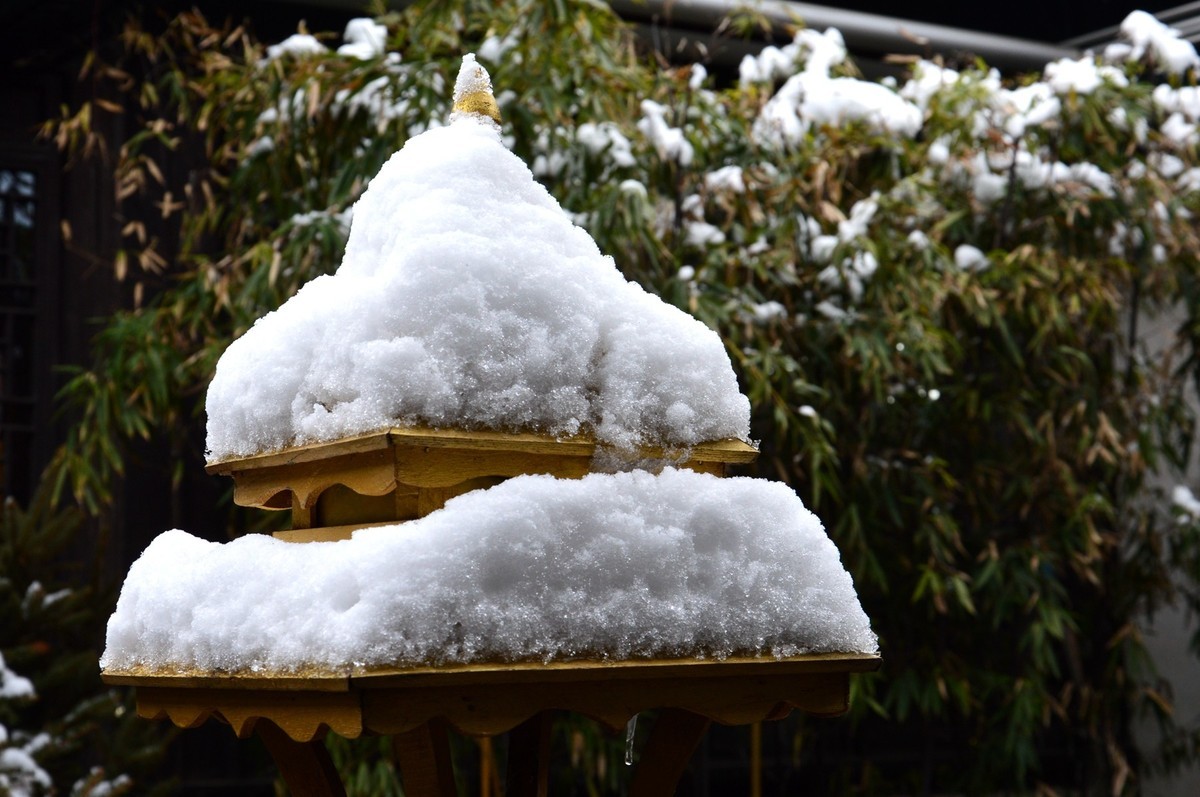 2018年1月26日-上海市嘉定区雪后风景
