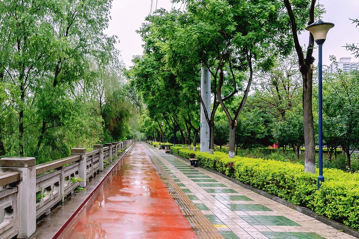 雨中濱河路蘭州