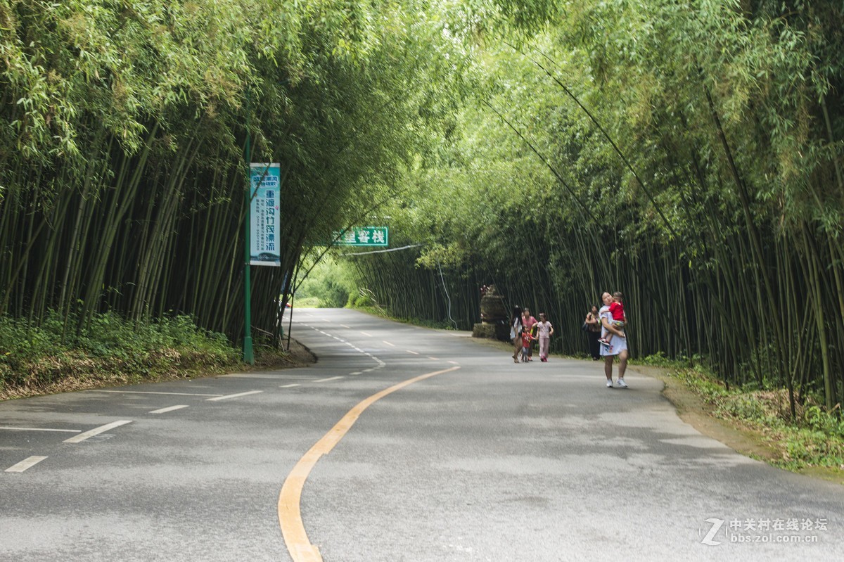 栾川重渡沟风光