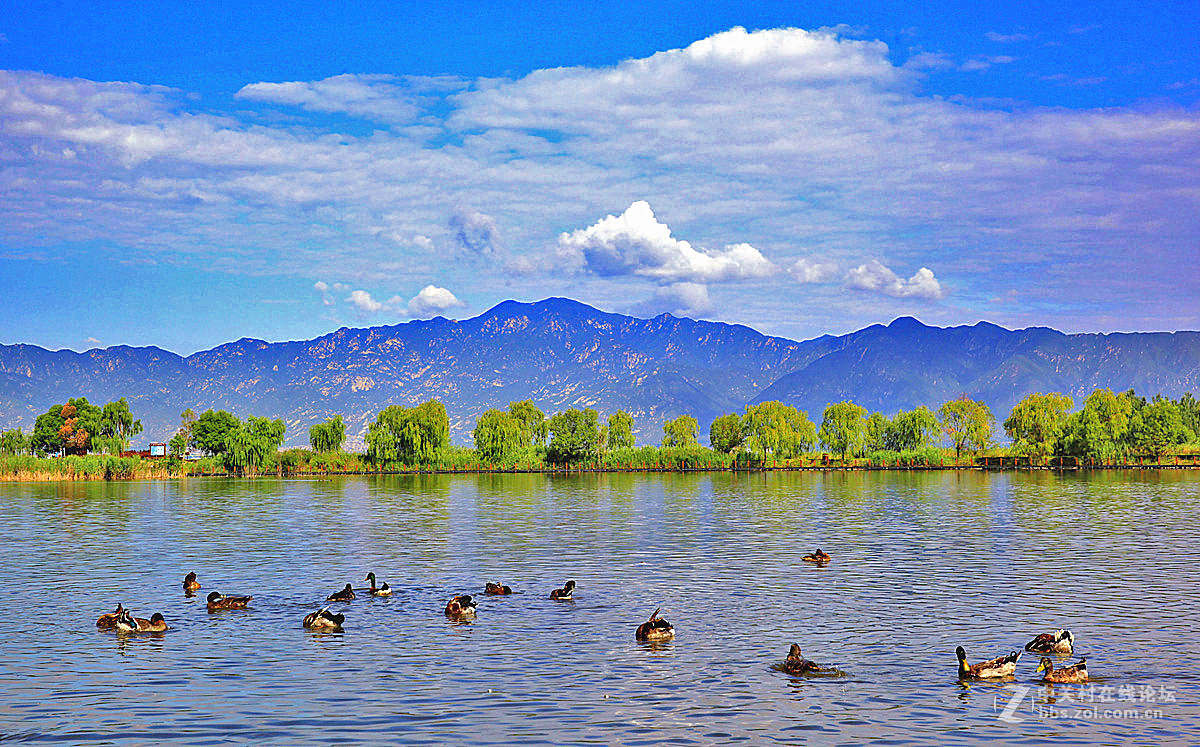 延庆野鸭湖
