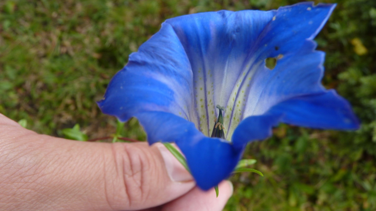 换相机前的FZ35，持续更新中