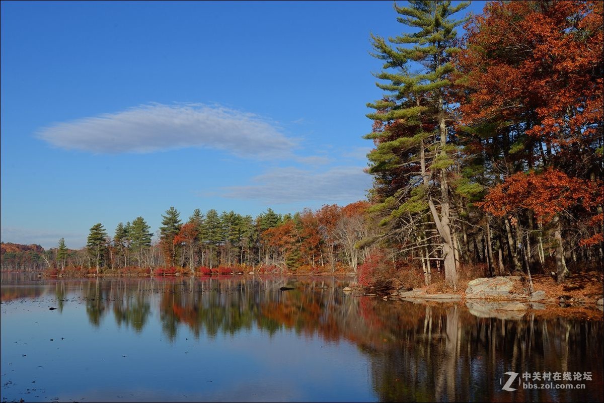 休闲随拍（309）