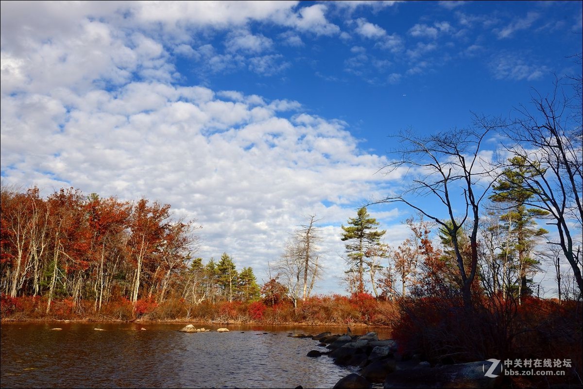 休闲随拍（309）