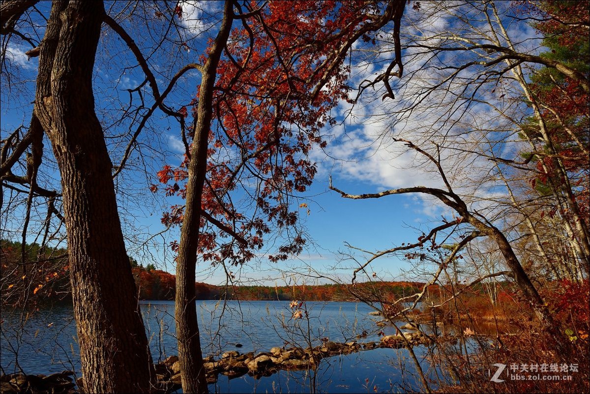 休闲随拍（309）