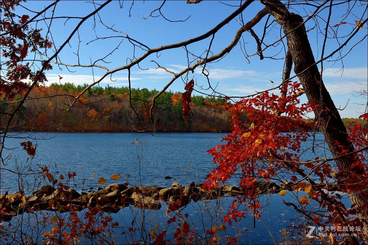 休闲随拍（309）