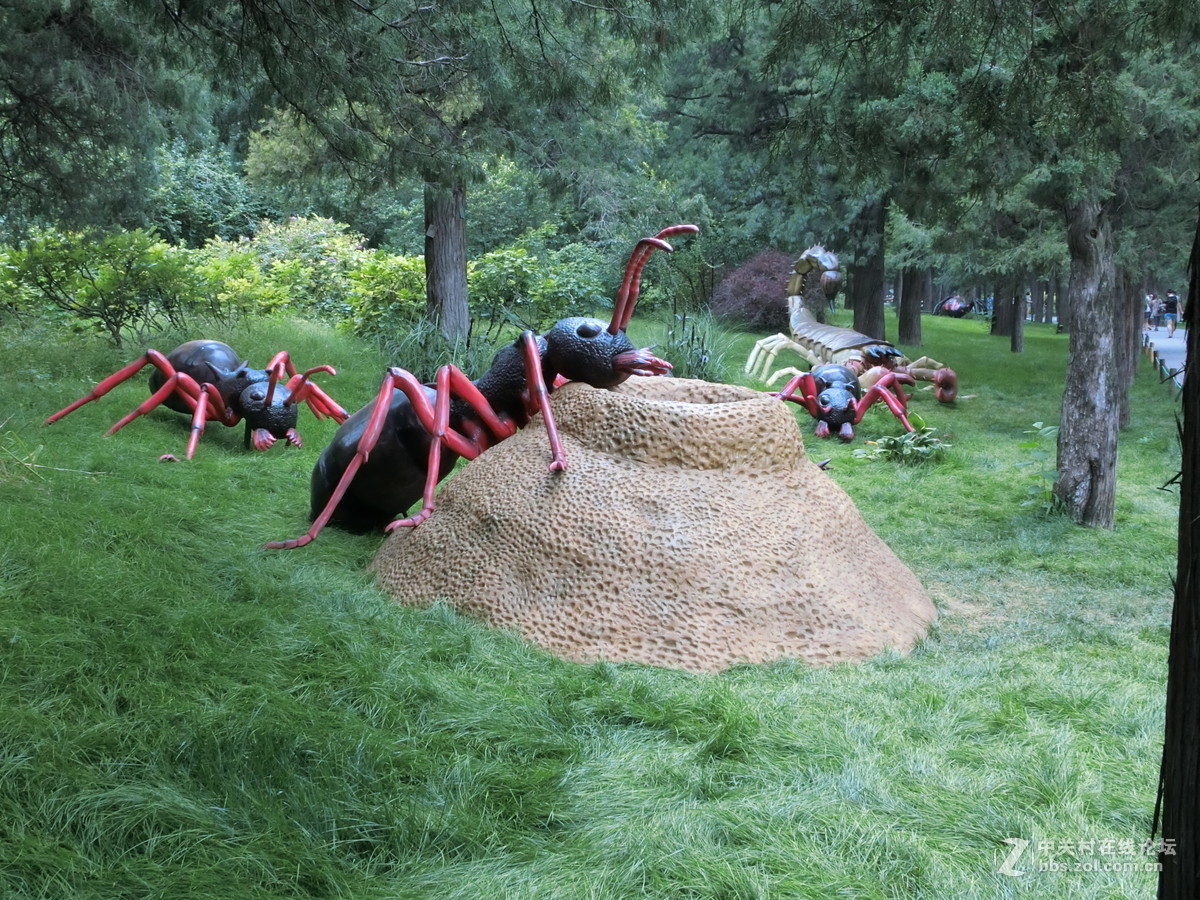 景山昆虫科普展随拍