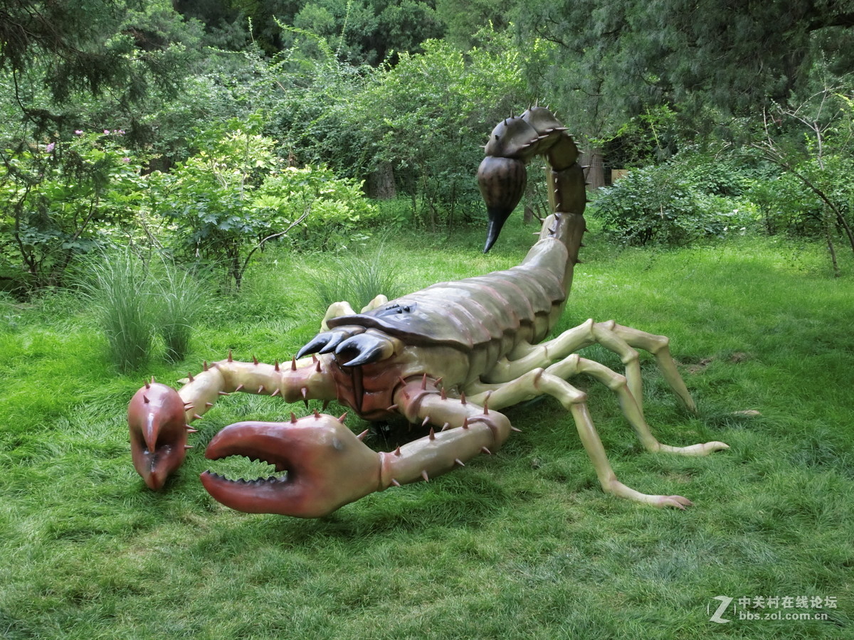 景山昆虫科普展随拍