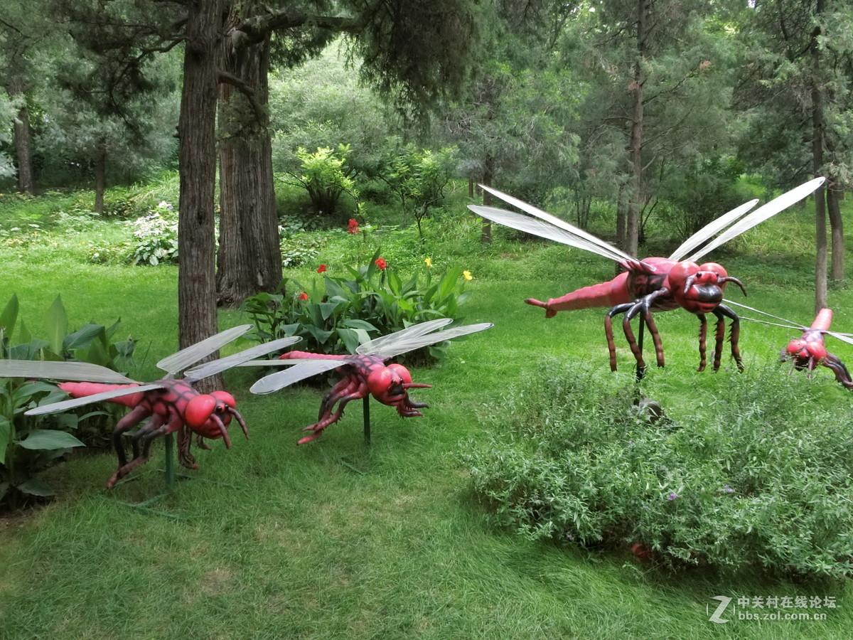 景山昆虫科普展随拍