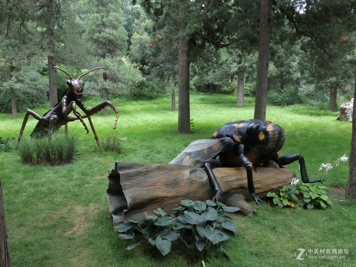 景山昆虫科普展随拍