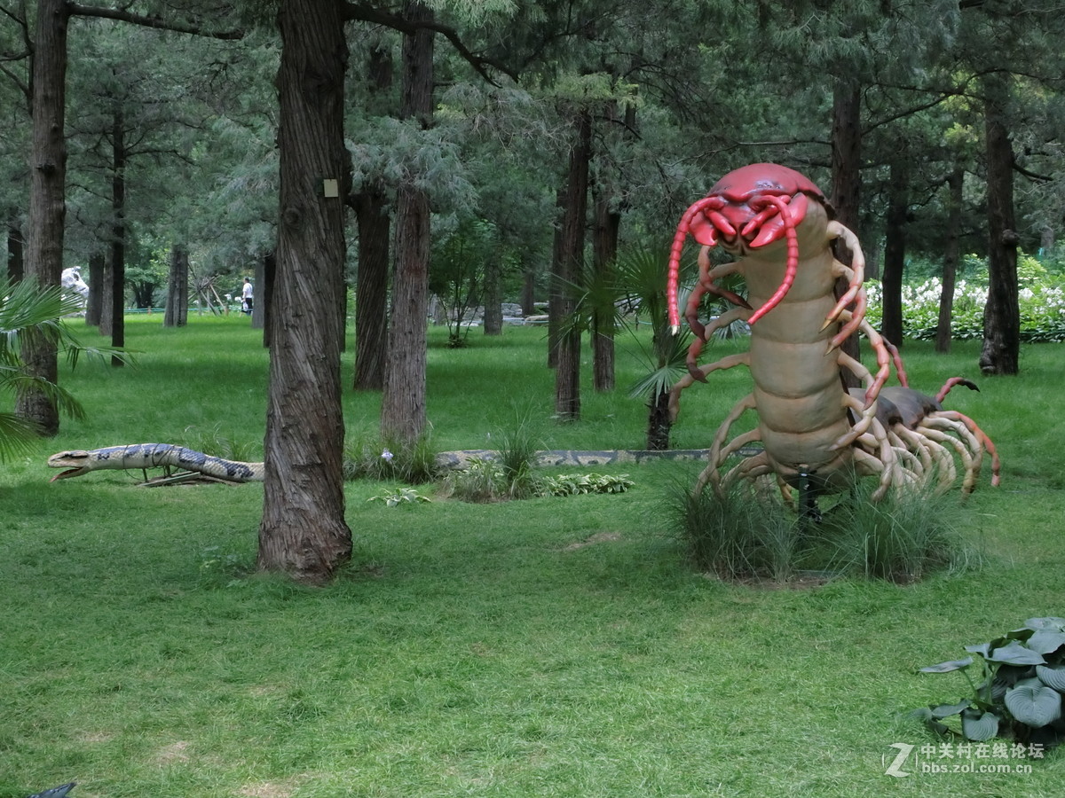 景山昆虫科普展随拍