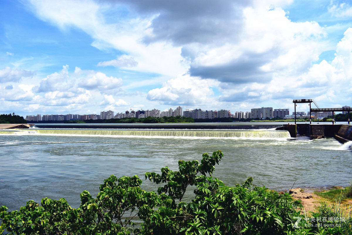 继续用狗头扫景