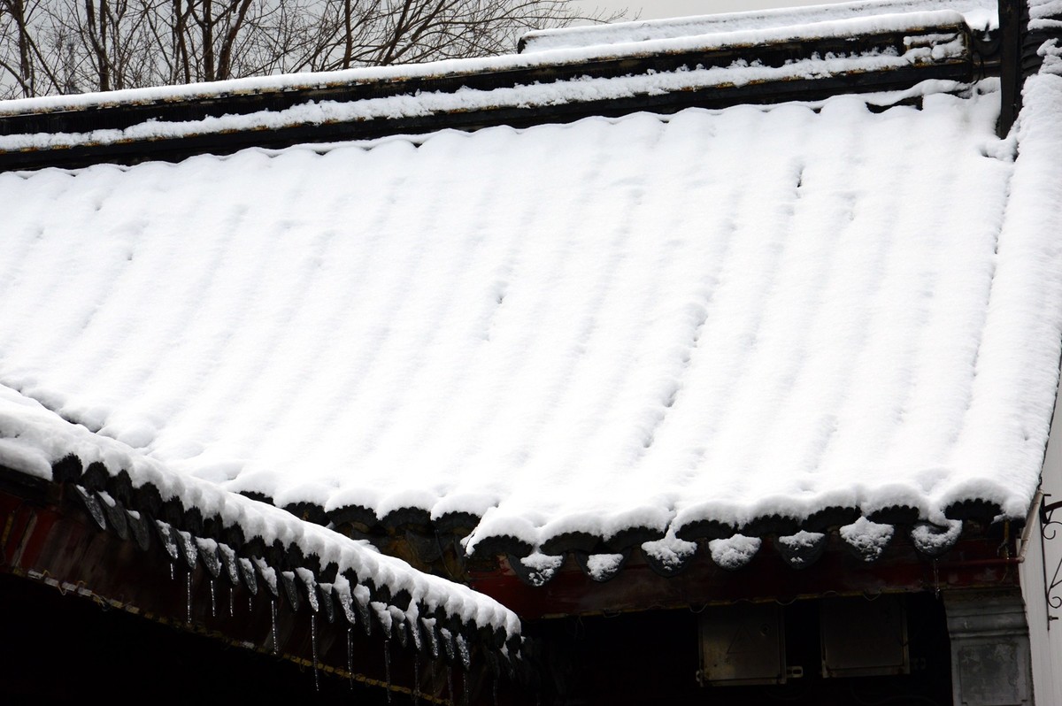 2018年1月26日-上海市嘉定区雪后风景
