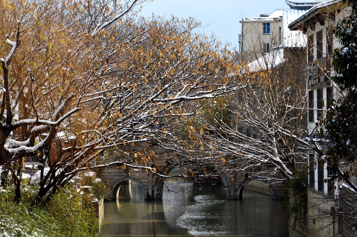 2018年1月26日-上海市嘉定区雪后风景