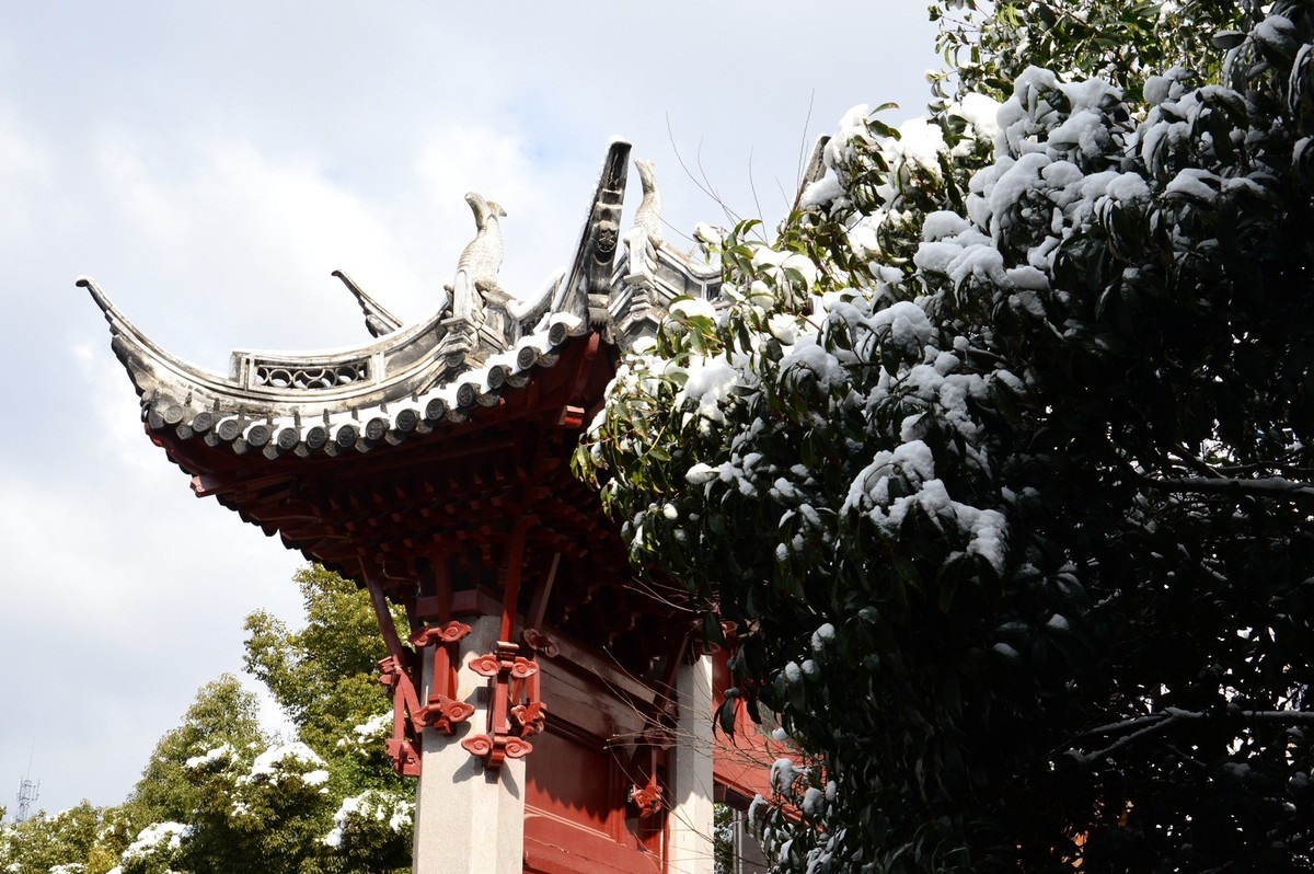 2018年1月26日-上海市嘉定区雪后风景