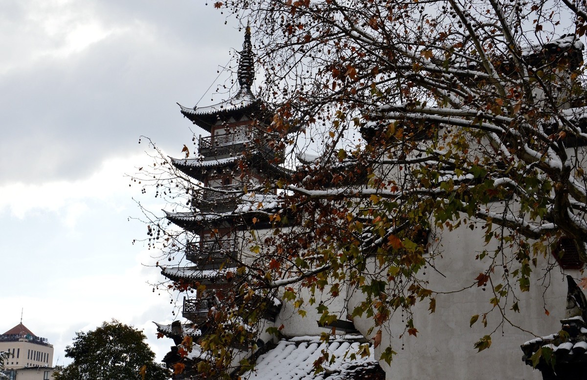 2018年1月26日-上海市嘉定区雪后风景