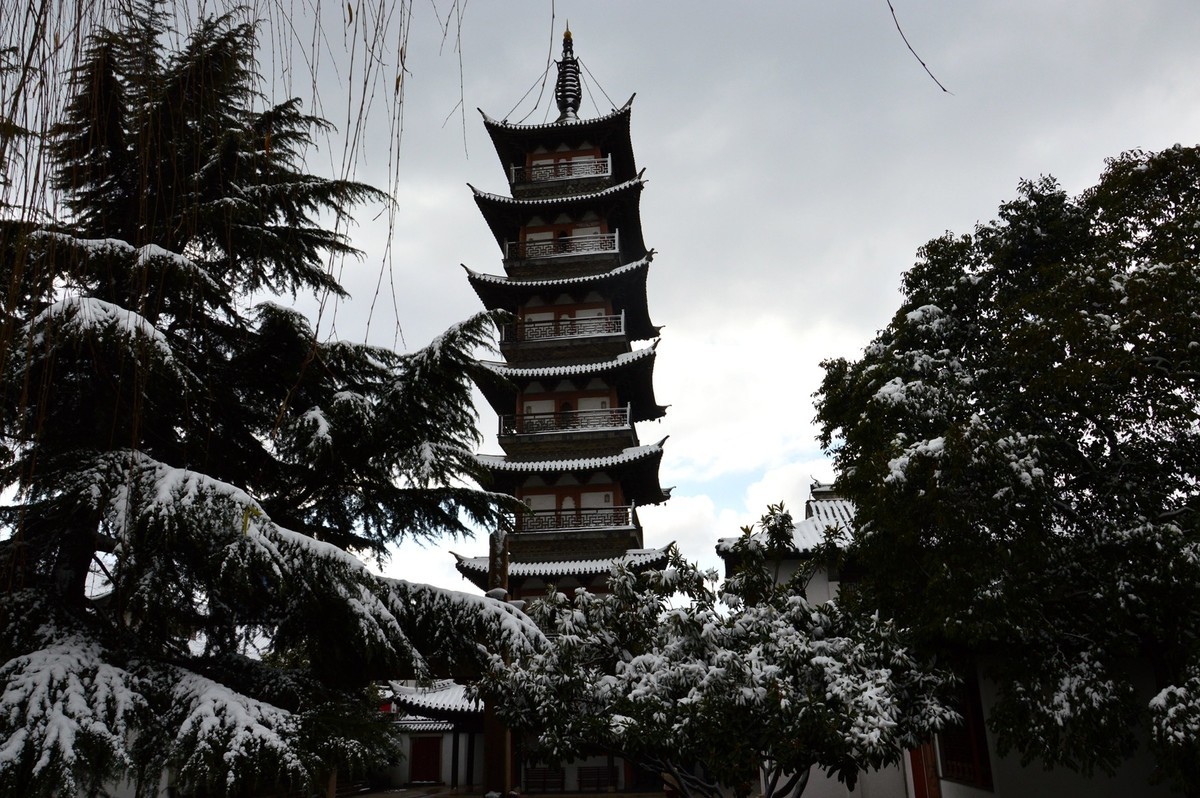 2018年1月26日-上海市嘉定区雪后风景