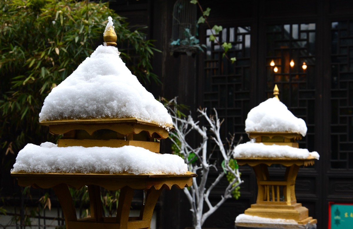 2018年1月26日-上海市嘉定区雪后风景