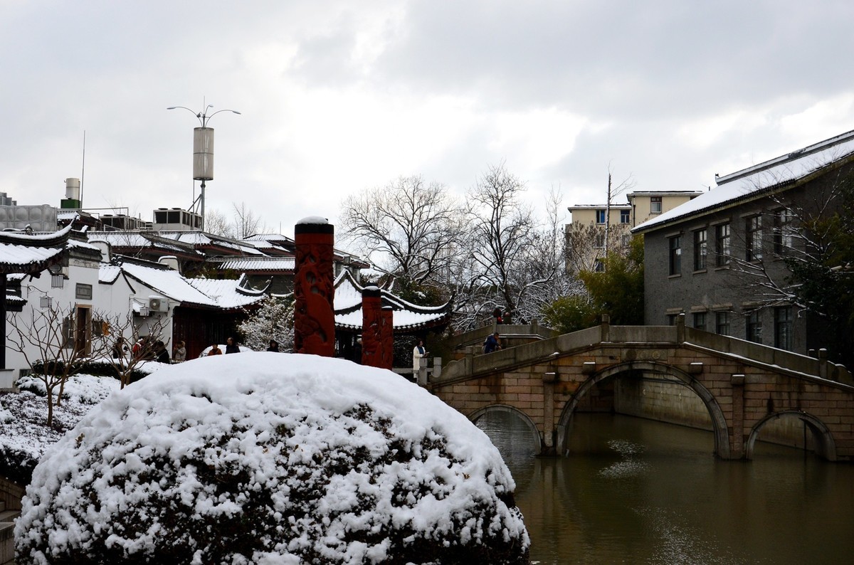 2018年1月26日-上海市嘉定区雪后风景