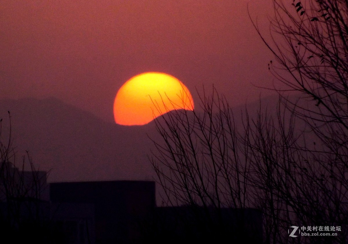 4530拍日落