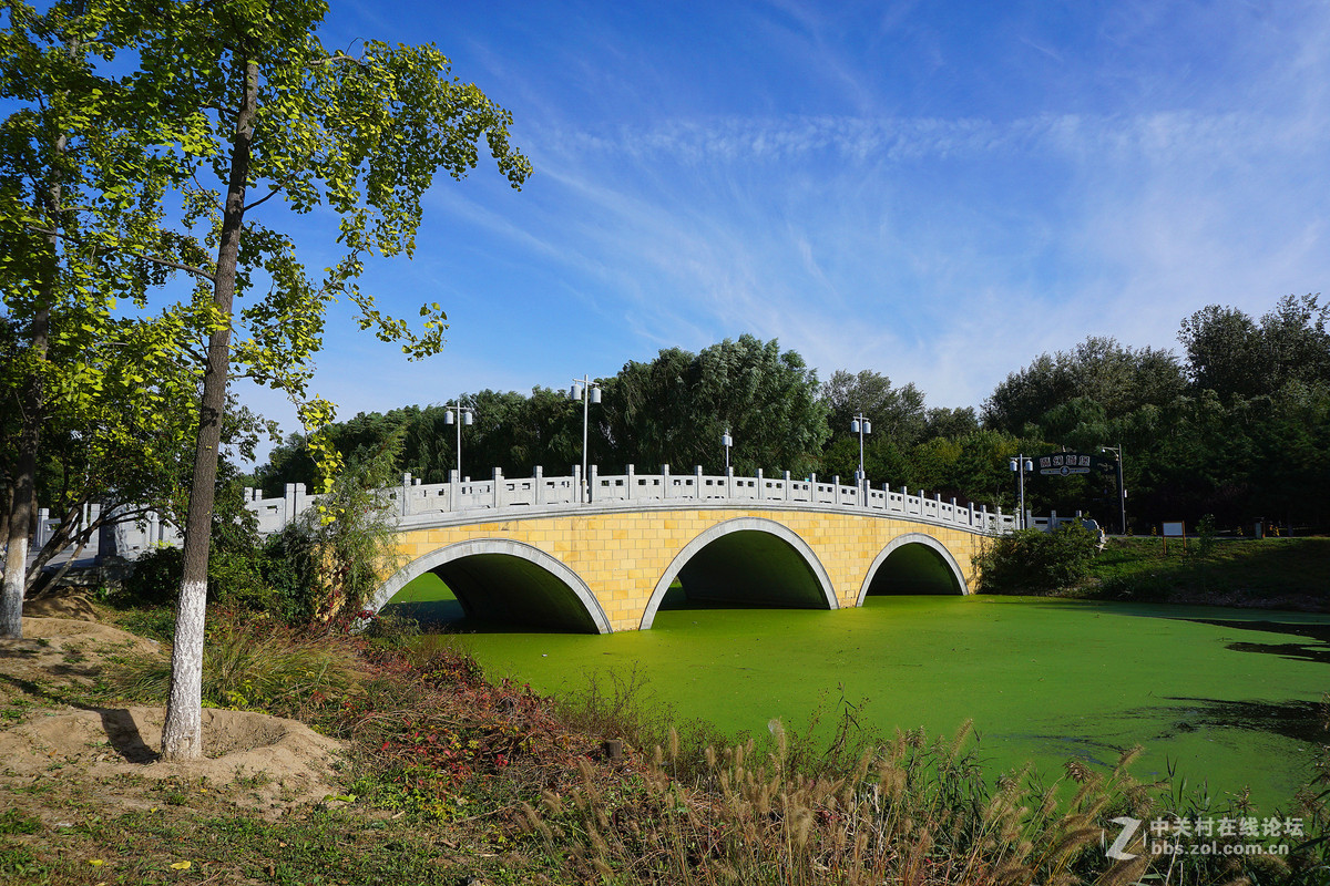 北京通州区风景大运河森林公园
