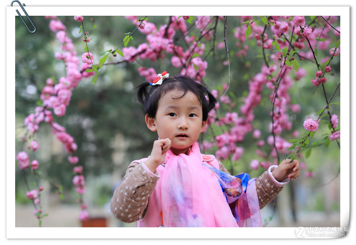 新进适马50-1.4，试拍。感觉挺好啊！