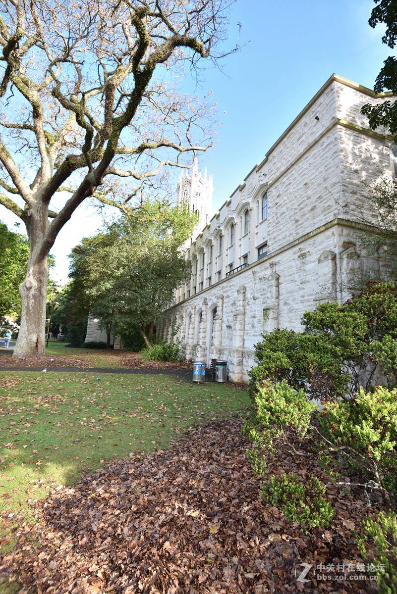 奥克兰阿尔伯特公园