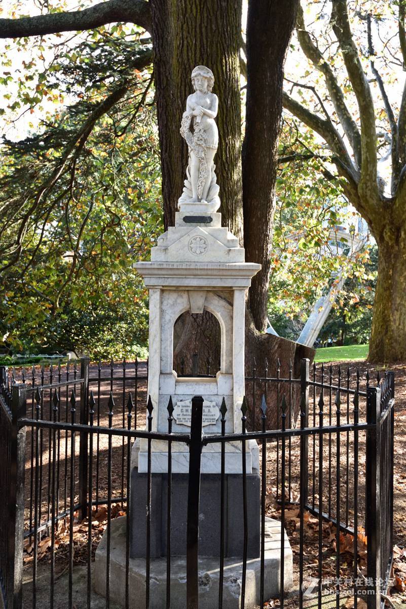 奥克兰阿尔伯特公园