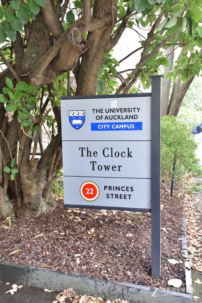 奥克兰阿尔伯特公园