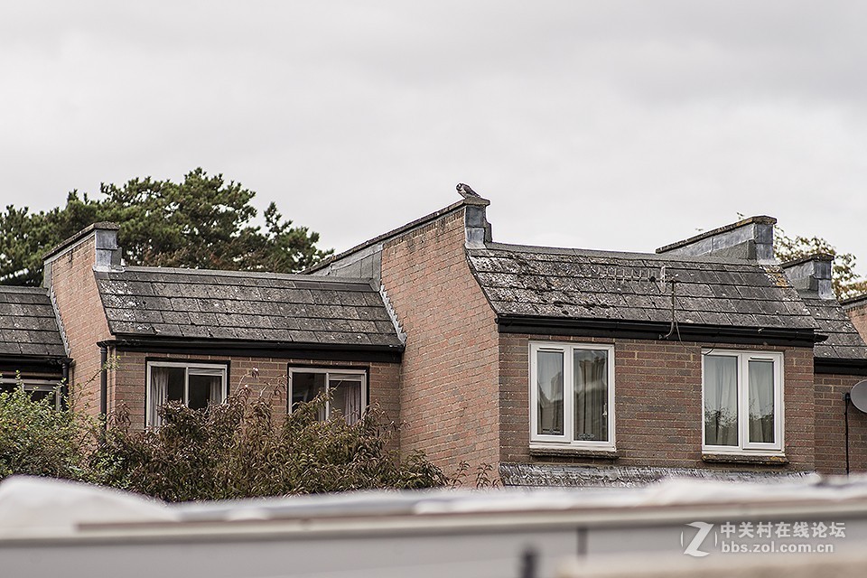 这只镜头你觉得如何（交流）