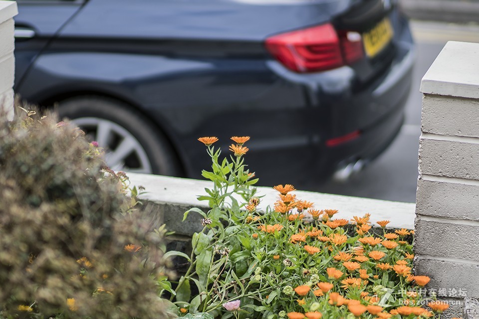 这只镜头你觉得如何（交流）