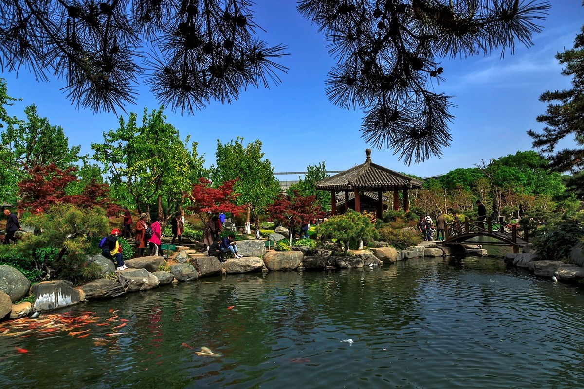 西安唐苑随拍--兼请假贴