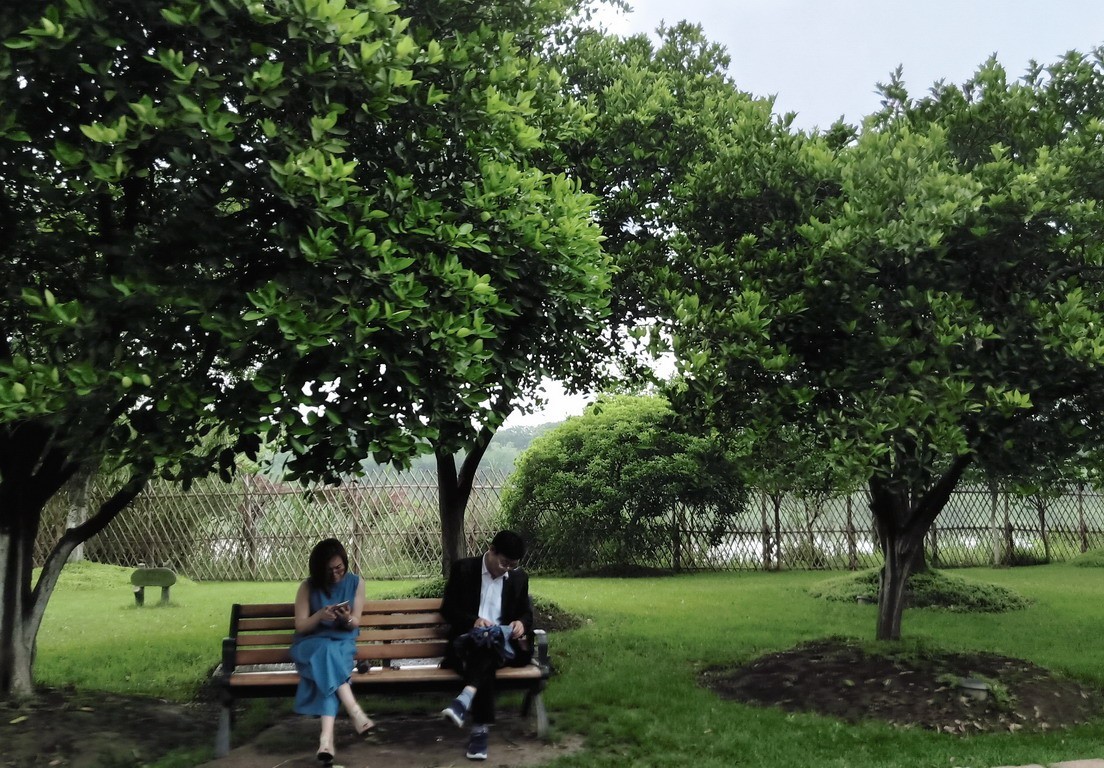 江苏省昆山市花桥天福国家生态湿地公园