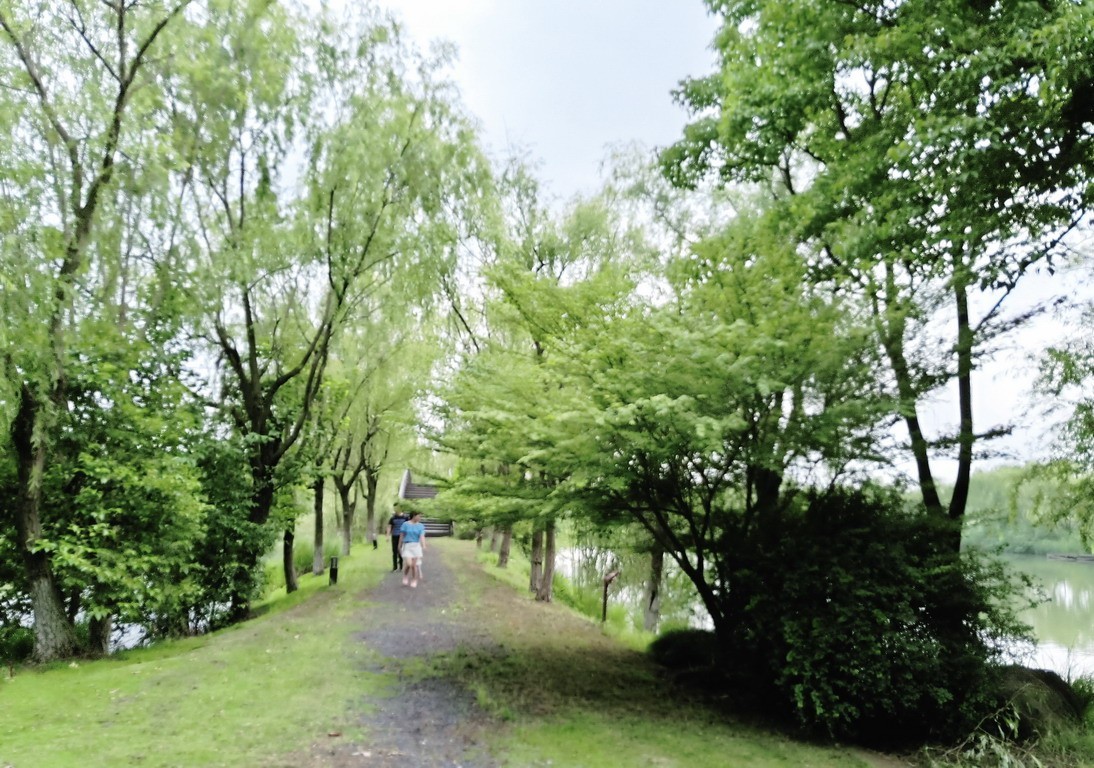 江苏省昆山市花桥天福国家生态湿地公园
