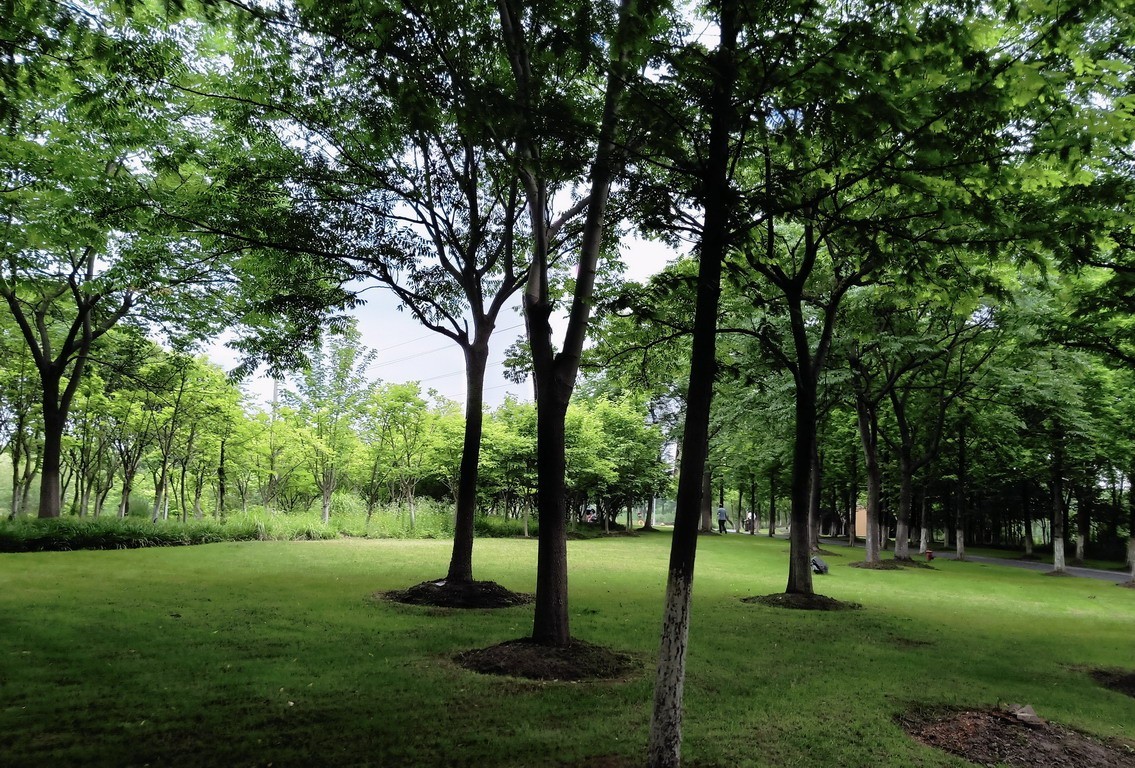 江苏省昆山市花桥天福国家生态湿地公园