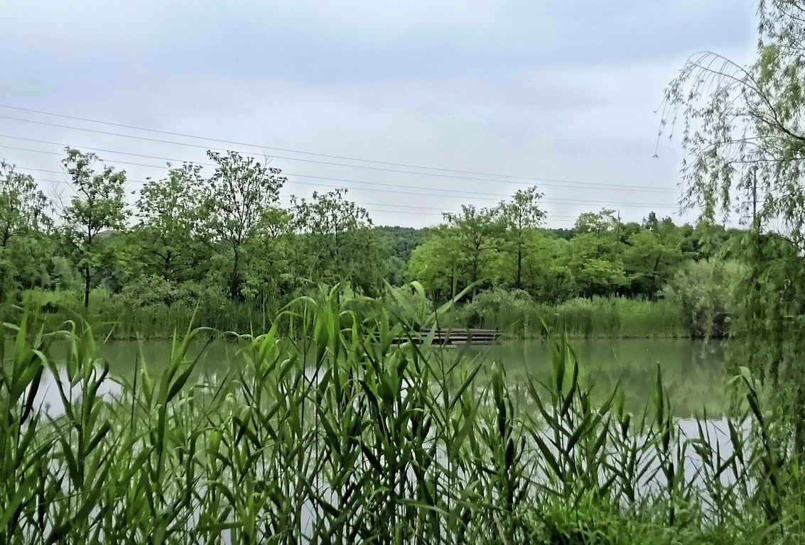 江苏省昆山市花桥天福国家生态湿地公园