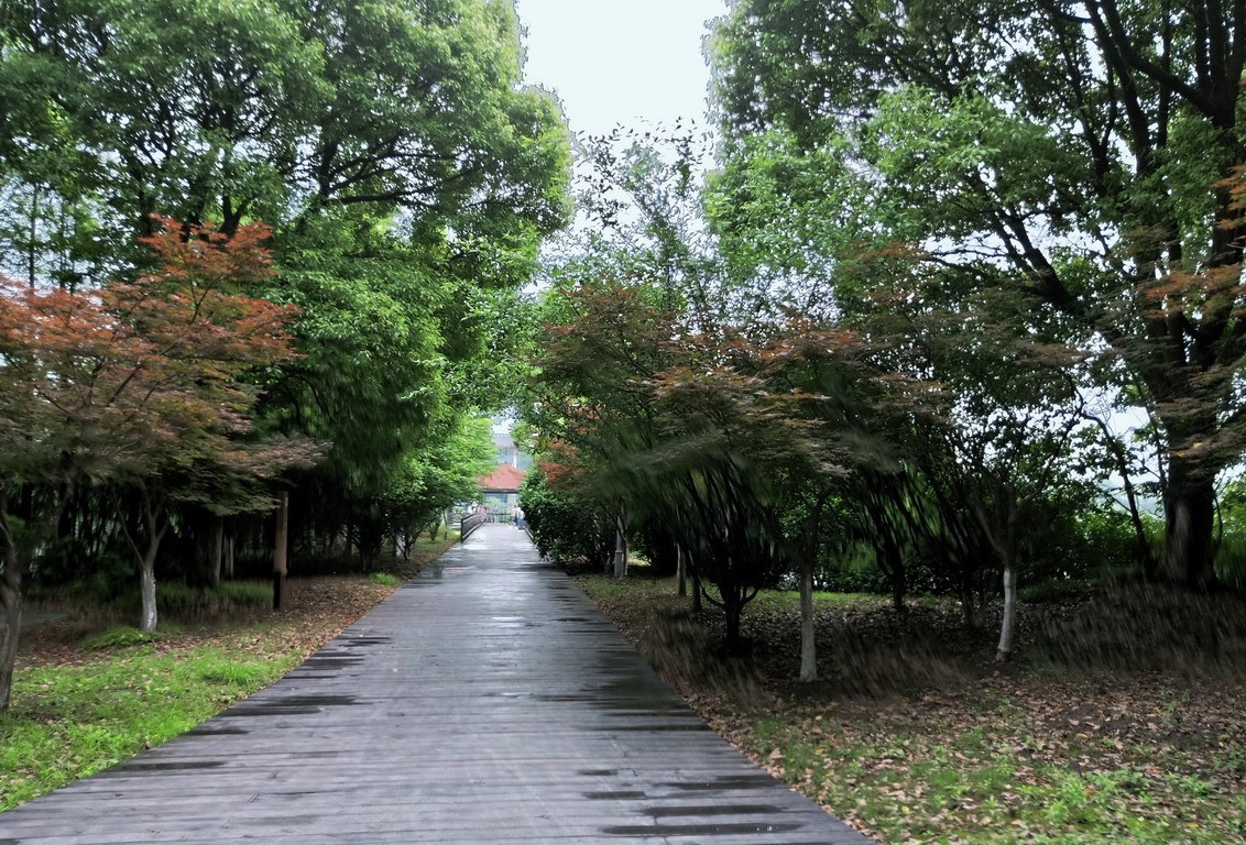 江苏省昆山市花桥天福国家生态湿地公园