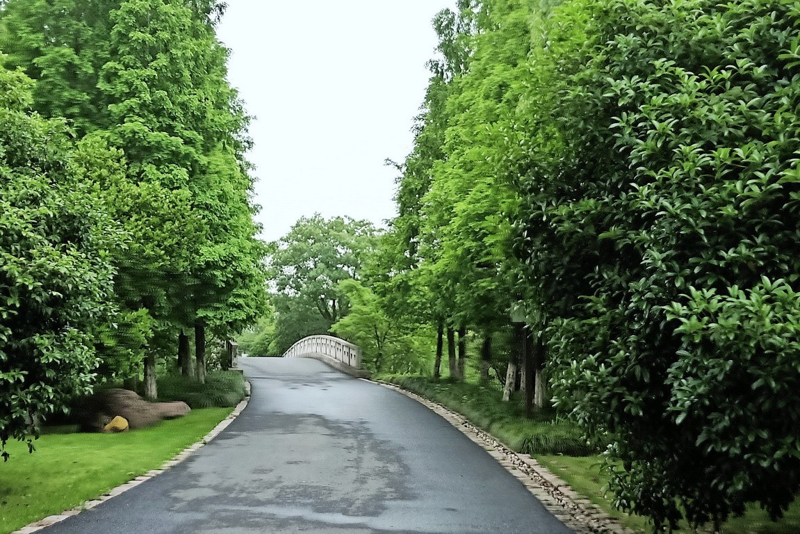 江苏省昆山市花桥天福国家生态湿地公园