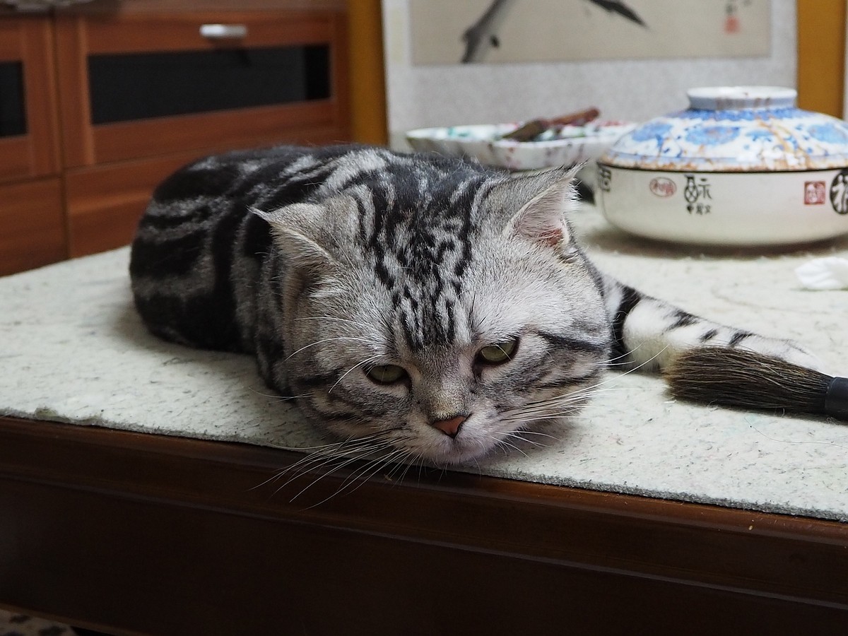 奥林巴斯E-M10 III  斑斑