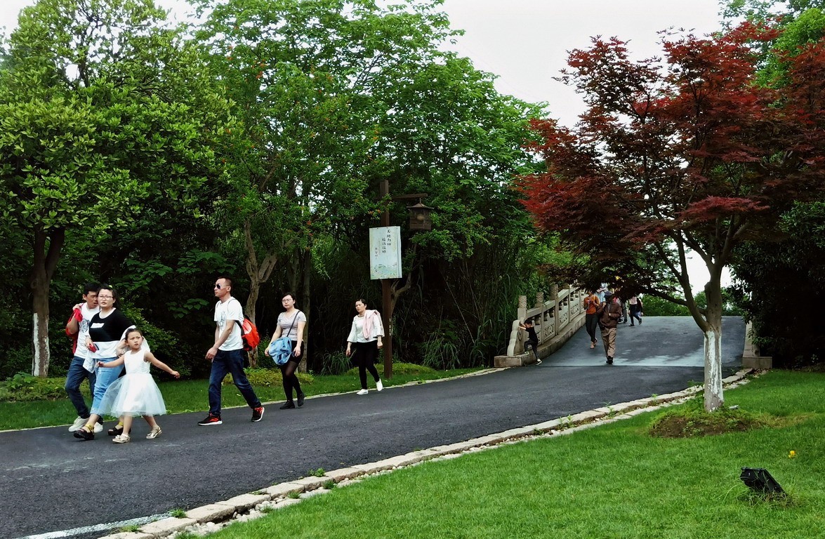 江苏省昆山市花桥天福国家生态湿地公园