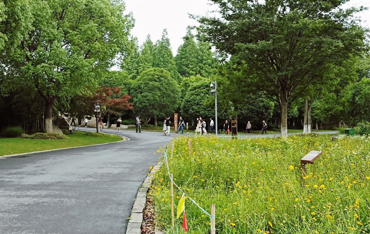 江苏省昆山市花桥天福国家生态湿地公园