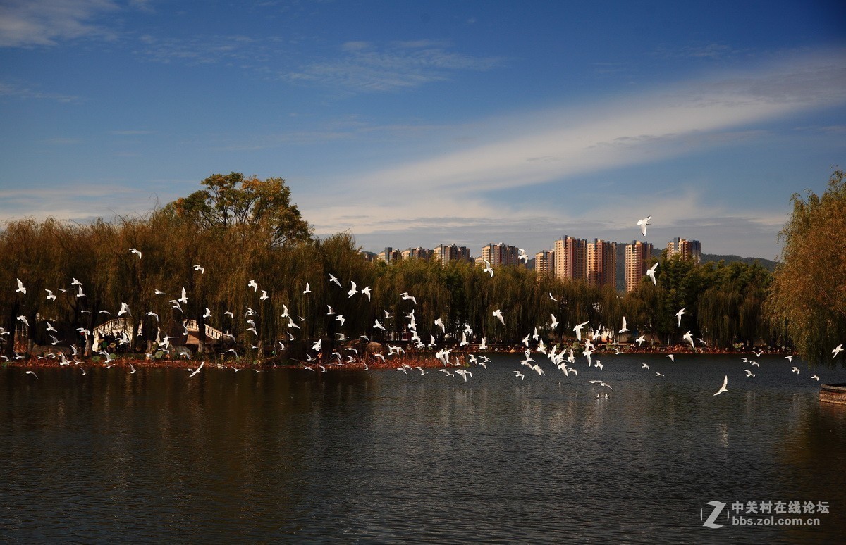 游大观楼公园随拍
