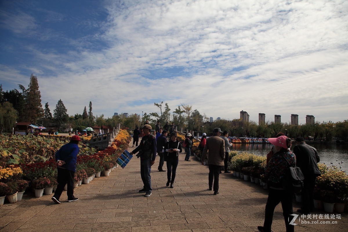 游大观楼公园随拍